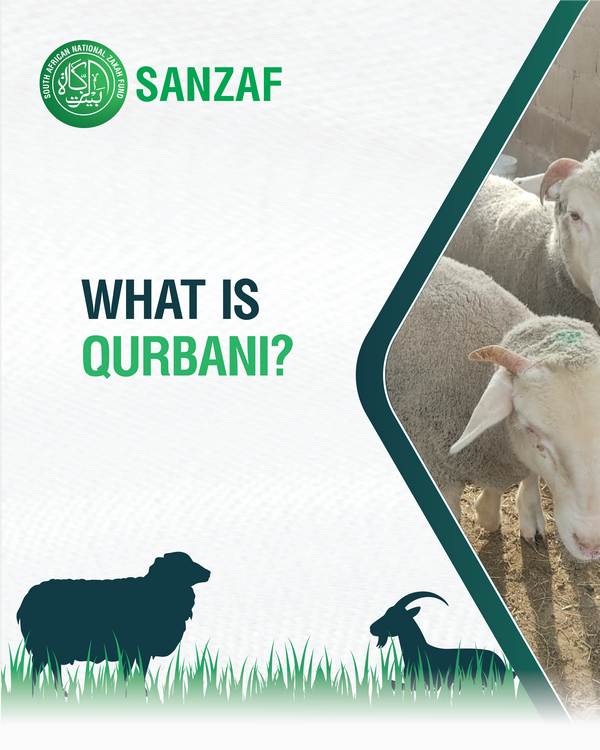 What is Qurbani? A Complete Islamic Guide to Udhiyah